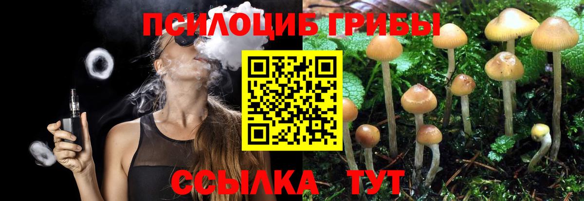 Пыть-Ях  Псилоцибиновые грибы MAGIC MUSHROOMS  Вход с VPN 